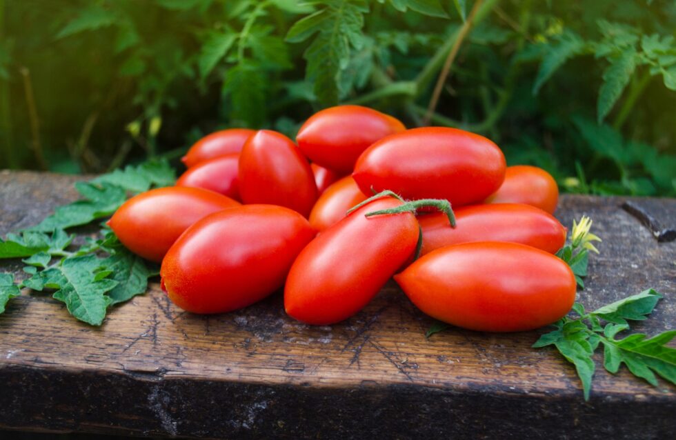 07c7692aecd364a83e156bee36615462