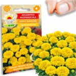 19909a62fca99372e633b65fe6125cc4