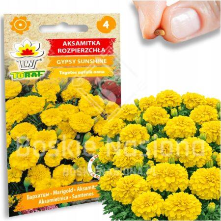 19909a62fca99372e633b65fe6125cc4