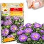 8f74a2ecced485a28ccb6929ddae9a4c