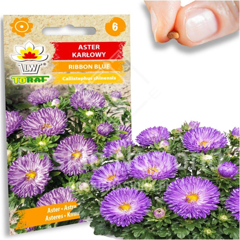 8f74a2ecced485a28ccb6929ddae9a4c