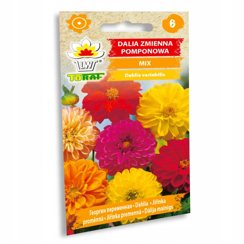 583c385a147d1f6f298939d6fcadb770