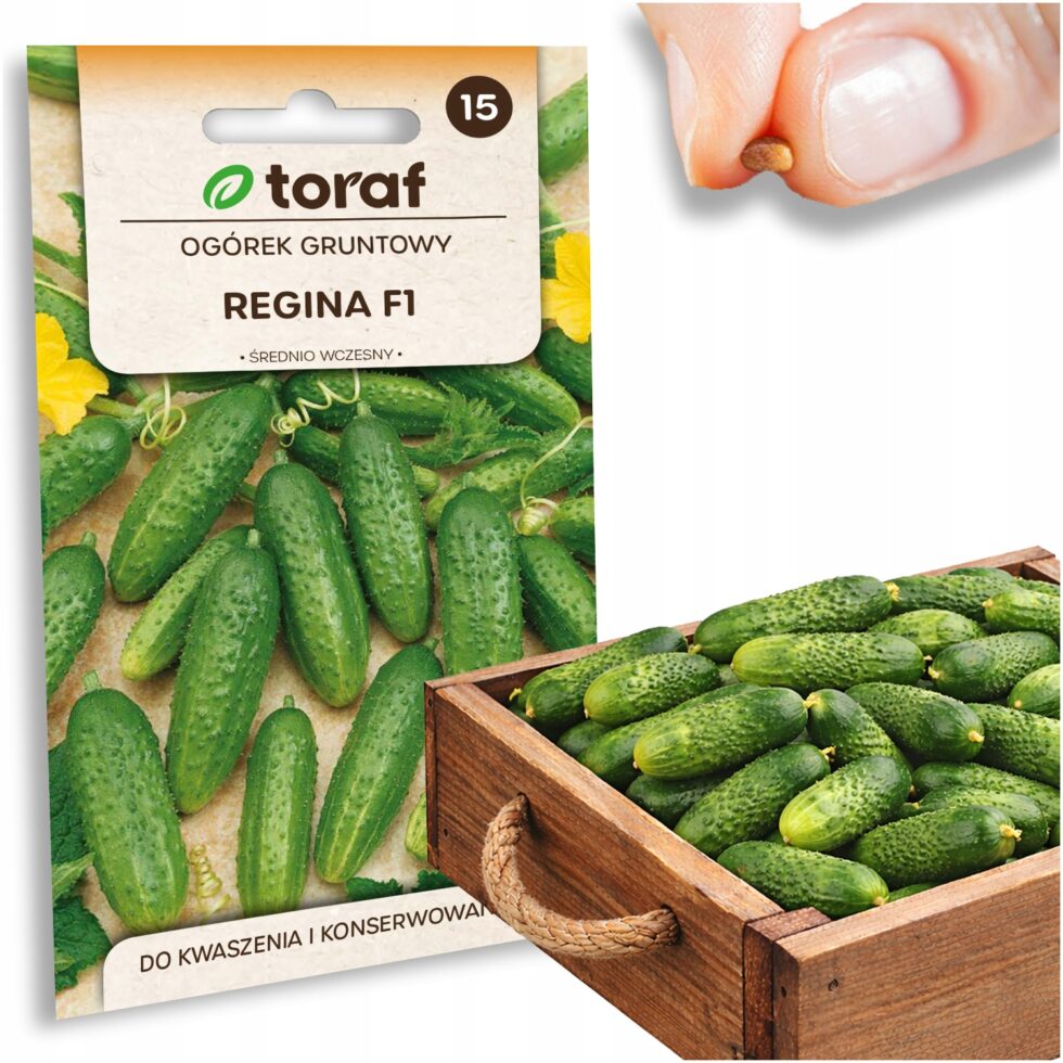 9b21f6edbcfa820f76e977d0e9f3ed6c