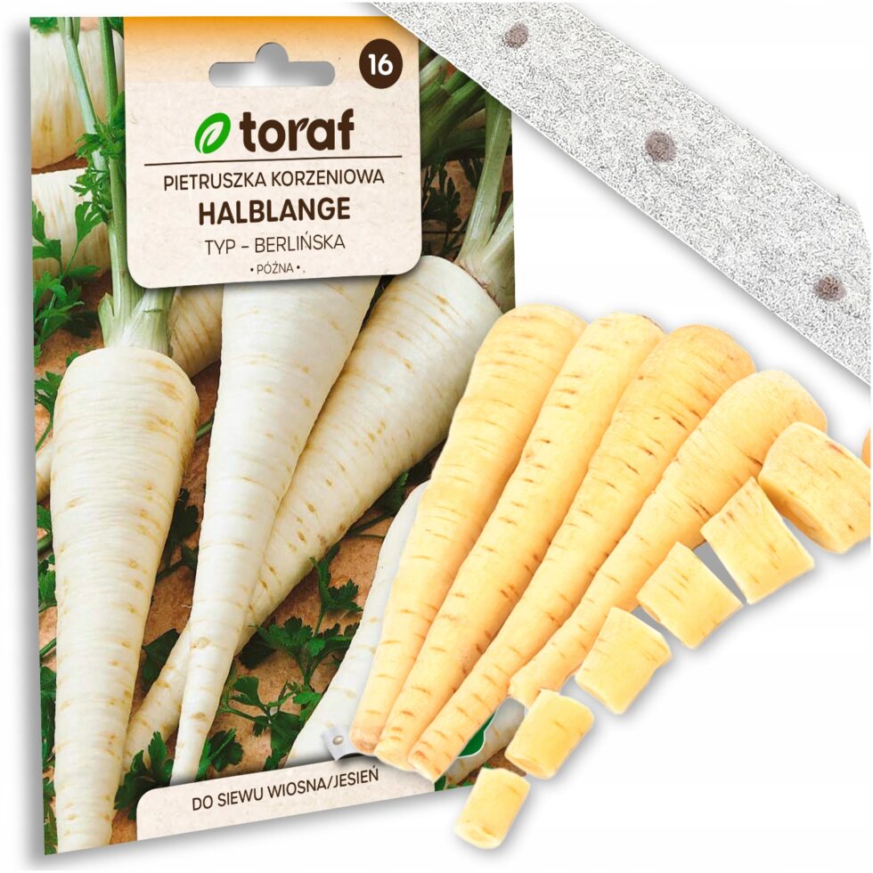 87616edec27565be3c2dec07bc033e3a