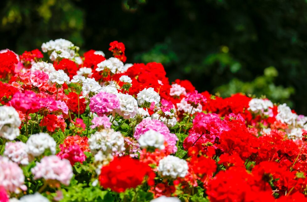 f71c90b71560c31b0716aa7bc5be49fc