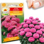 282852e0668659a2e90d07bbf908bc4a