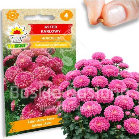 282852e0668659a2e90d07bbf908bc4a