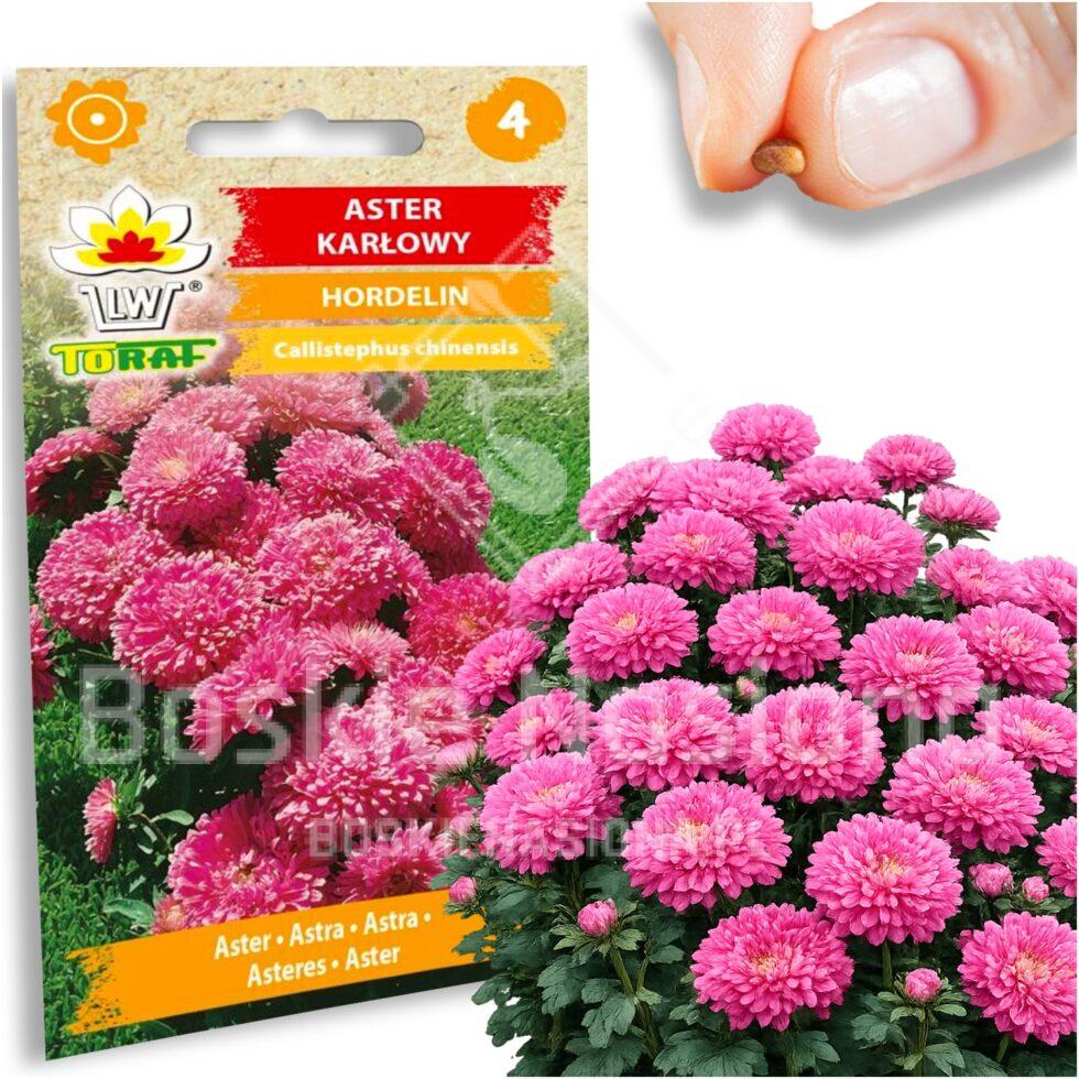 282852e0668659a2e90d07bbf908bc4a