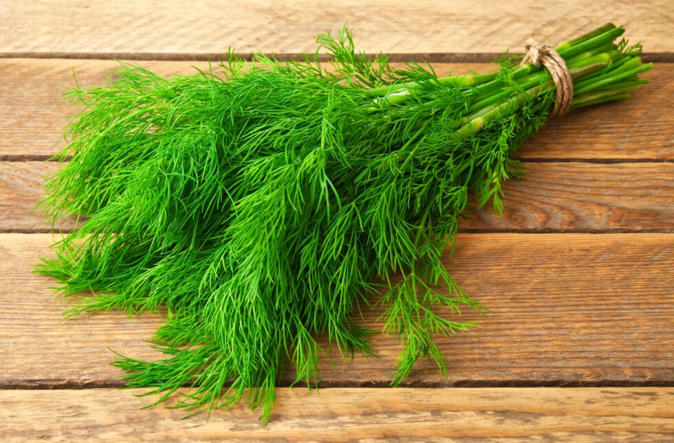 8055f24112cb327211c1c17c6a990204