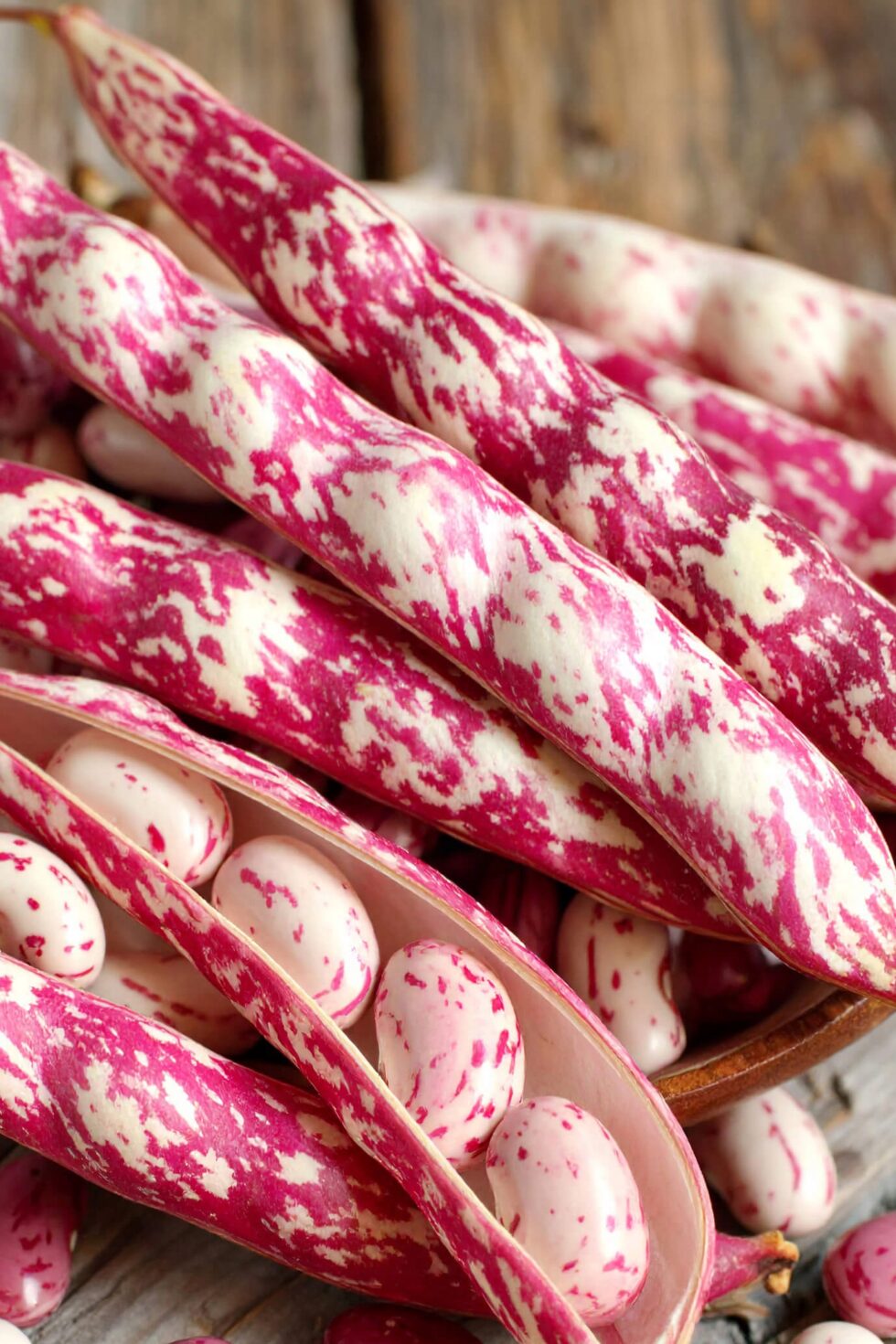 1d05fc7a30a147bd5c87e34fd6376ece