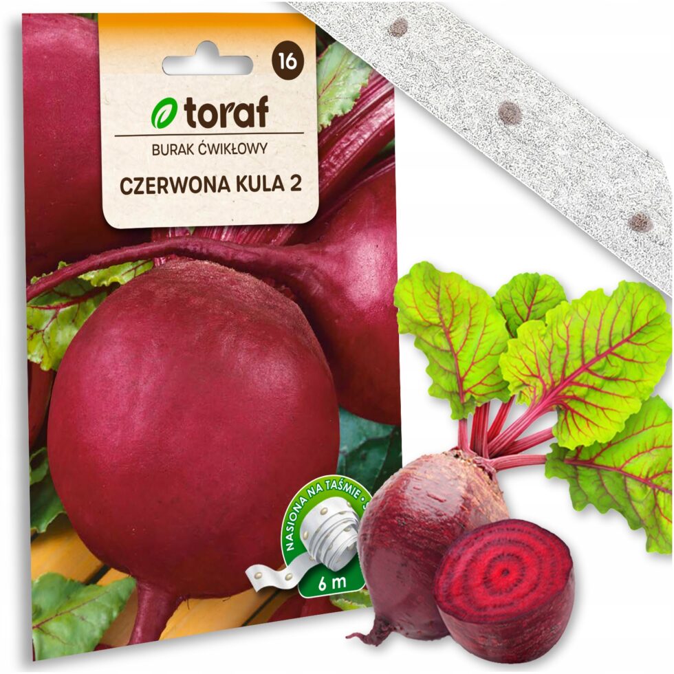 3d0024881a6f08417118b23daae1f840