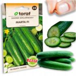 84dfe5abd0b162c1c2d45b651aa18780