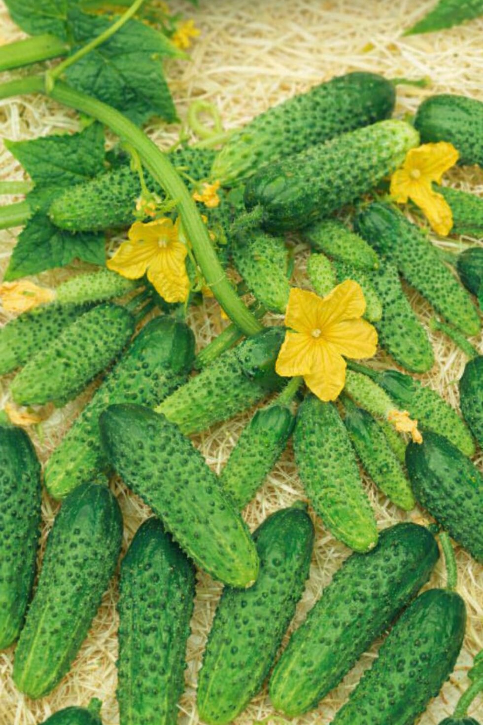 9a59e91219ecbc139fdaa48b6b21d21d