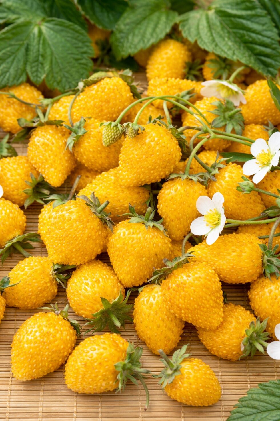 ce5f54fc5d21feea1129328963ed46cb