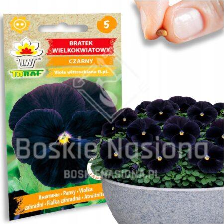 6bbd4f36d109f18dd120771fd657aa27