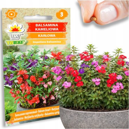 c192eb2088b96ca2fe1ec2866dc3c8e7