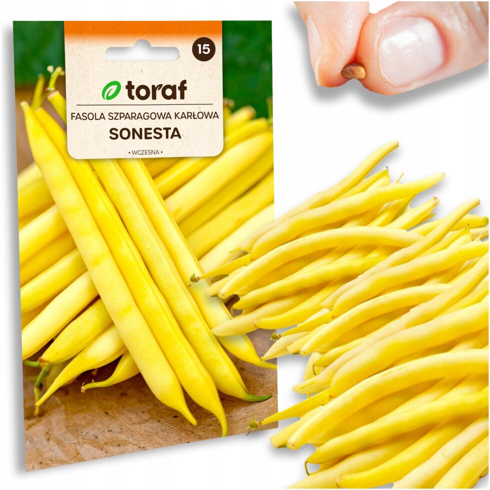 64e21c16671368a1d80e04bdd602a7eb