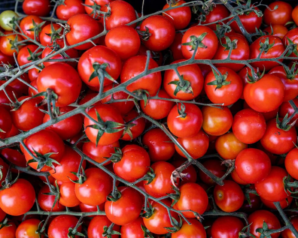 648864daca3fa878d48dbc78c38b4594