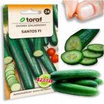 10a428f0146ffc76d33a6e70724b3572