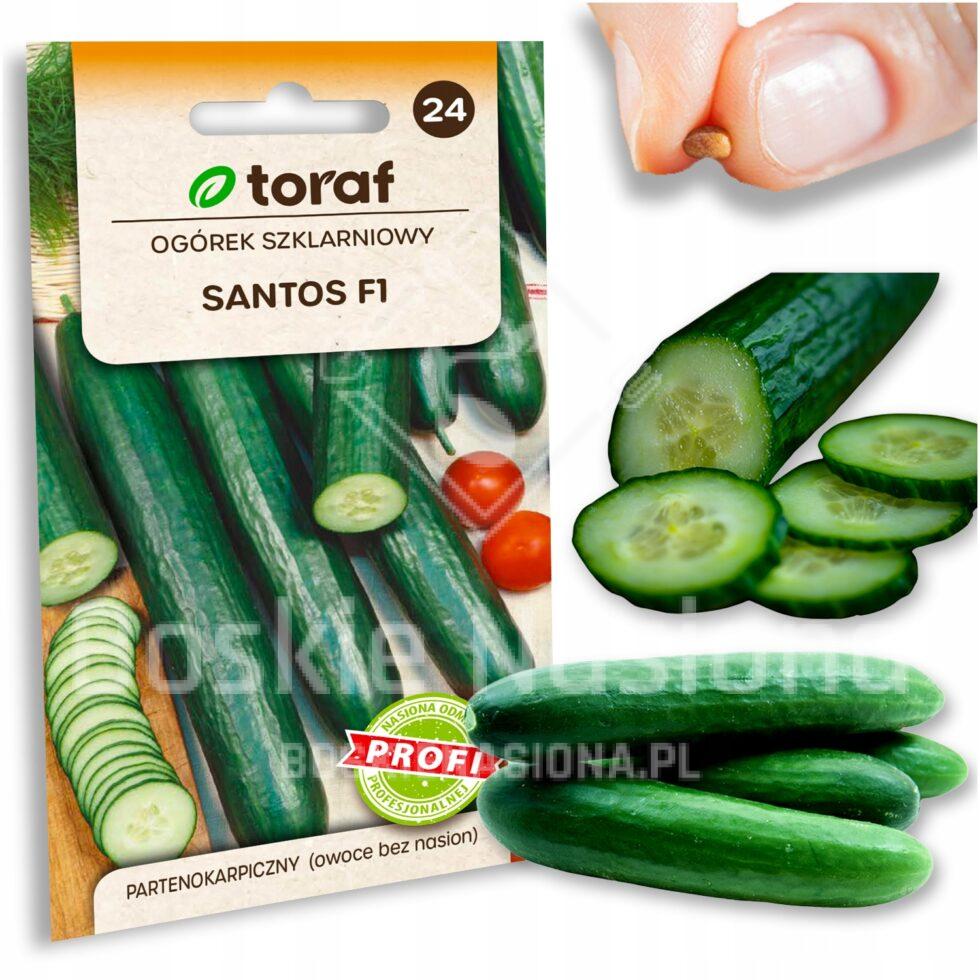 10a428f0146ffc76d33a6e70724b3572