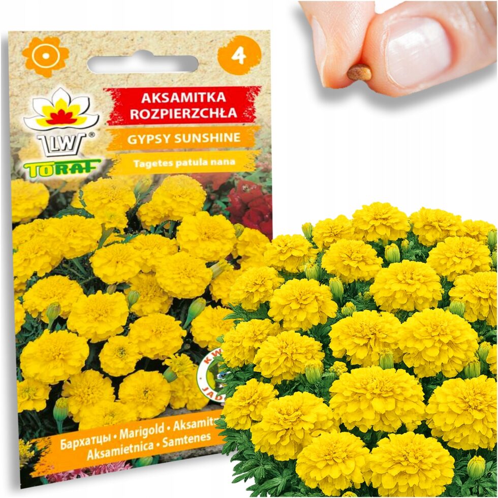 19909a62fca99372e633b65fe6125cc4