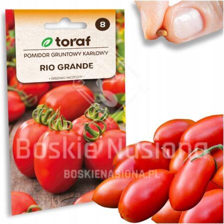 d26150194e23846cf7a3c46bbd2c5a07