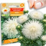 94265022f4f305ddb1e59c67554ca06c