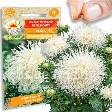 94265022f4f305ddb1e59c67554ca06c