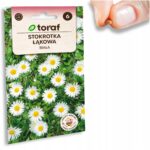 2fbaadc949d942d59eea0bee3a24b79f