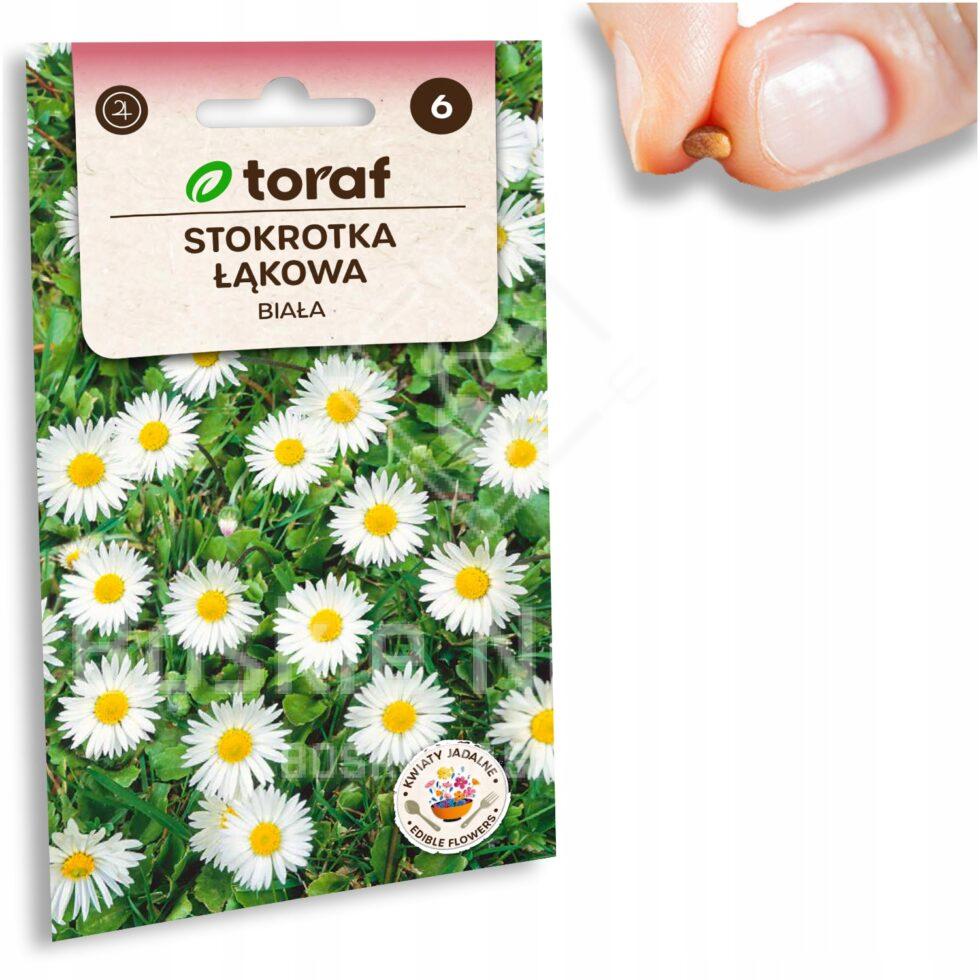 2fbaadc949d942d59eea0bee3a24b79f