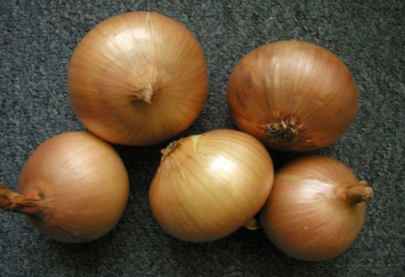 54ffd81edbc7f8743b84df05c3a47982