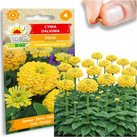 5d795f0fbaa11df3b38684ffa1df0afe