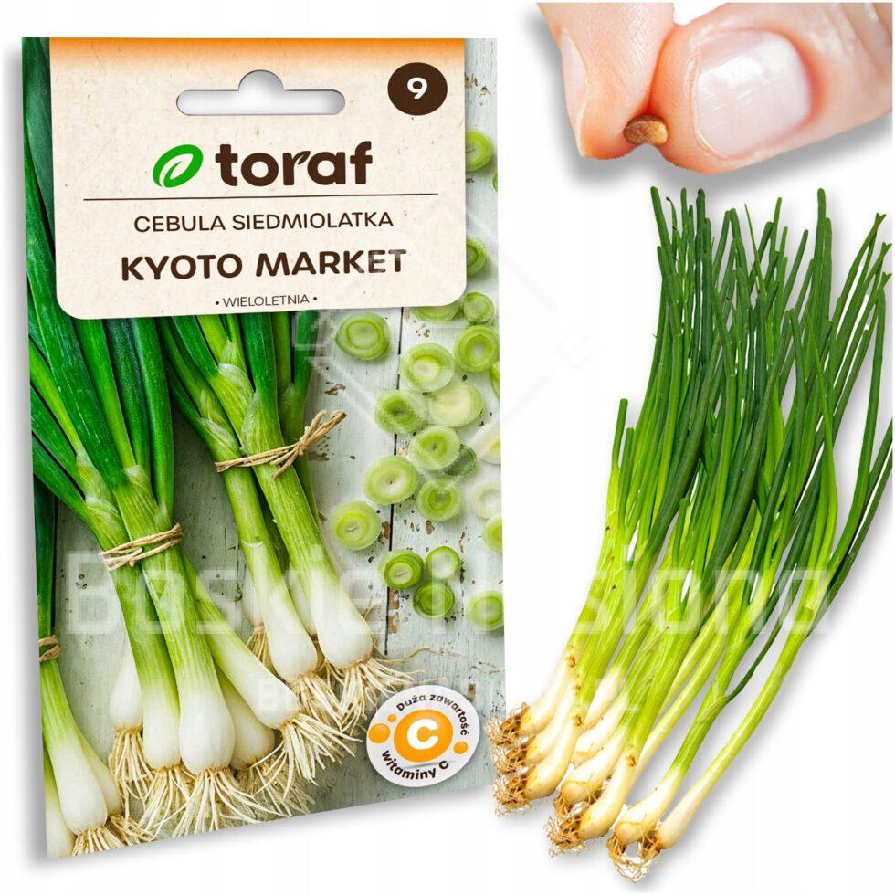 53141a1c5a5f5cfa0f986ec2149d64ef