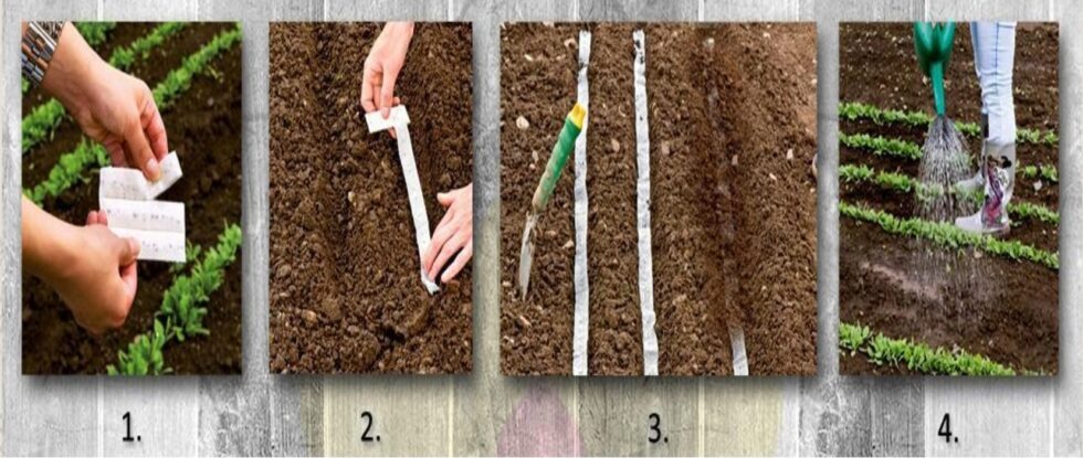 1814a56e007035a1a4c9b19214e2996d