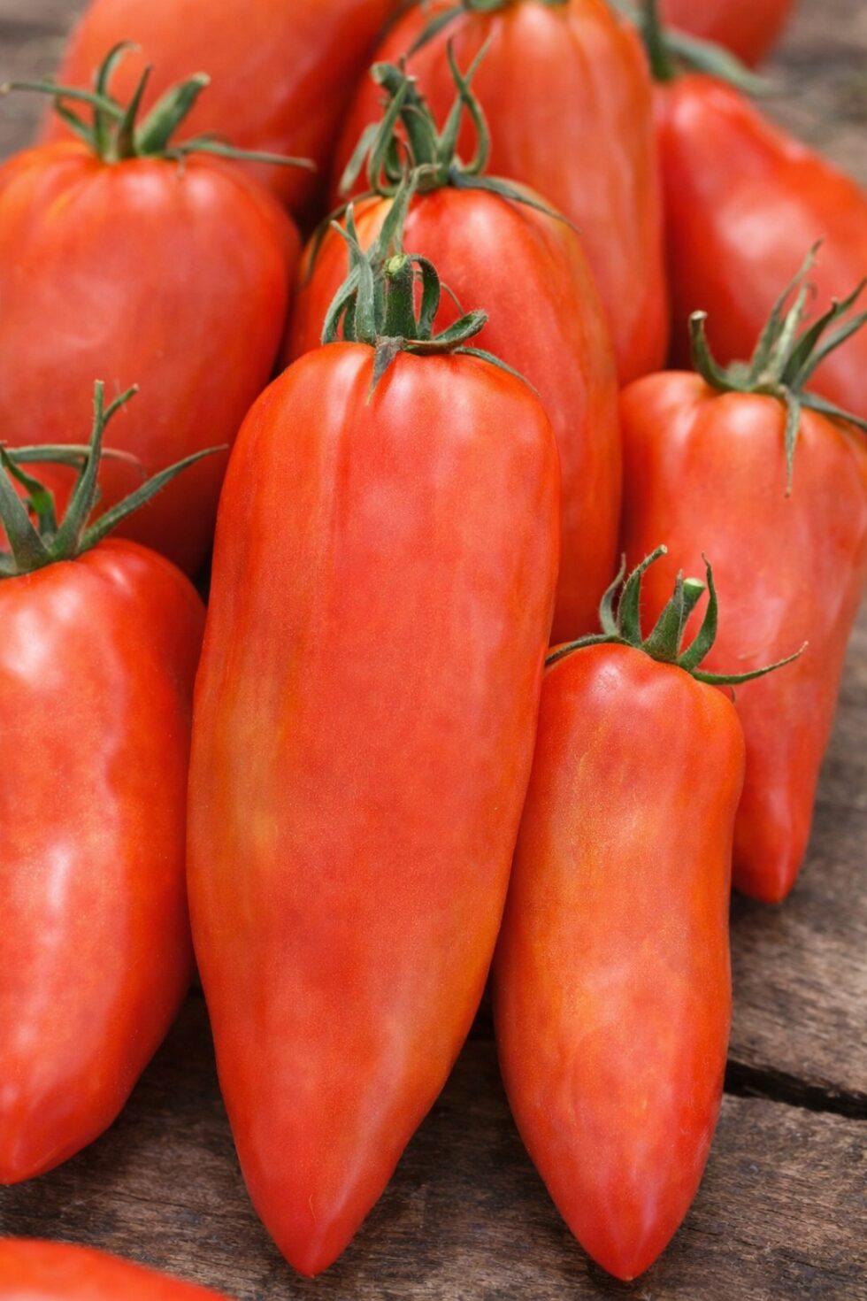 cd7c0a9e70dda7f909ff163615e69efe