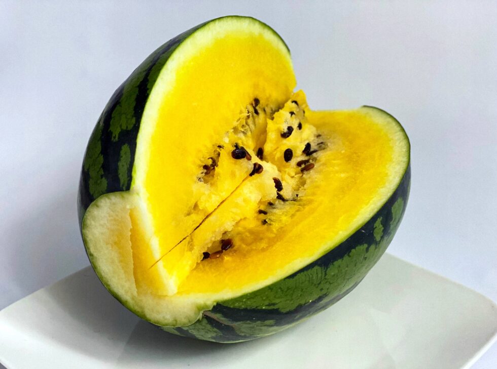 39fa5a91e9666e7557fa9e41f8207b59