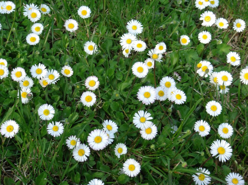 286b16835a8daf200f68277d79d61858