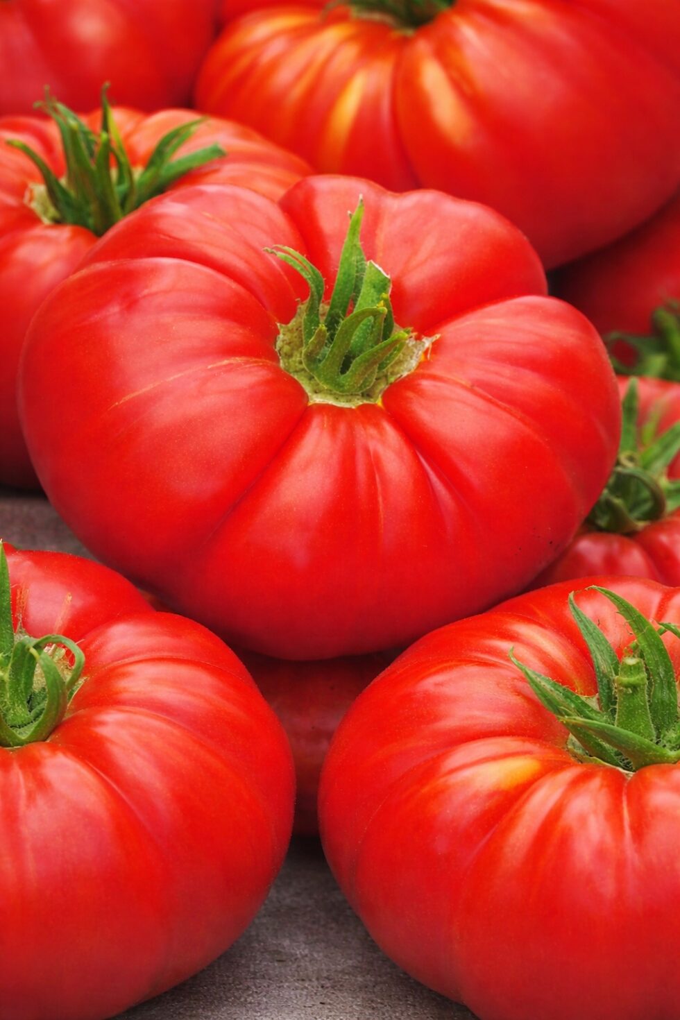 91bf9445ada35b1bc55fde8fdec64e32