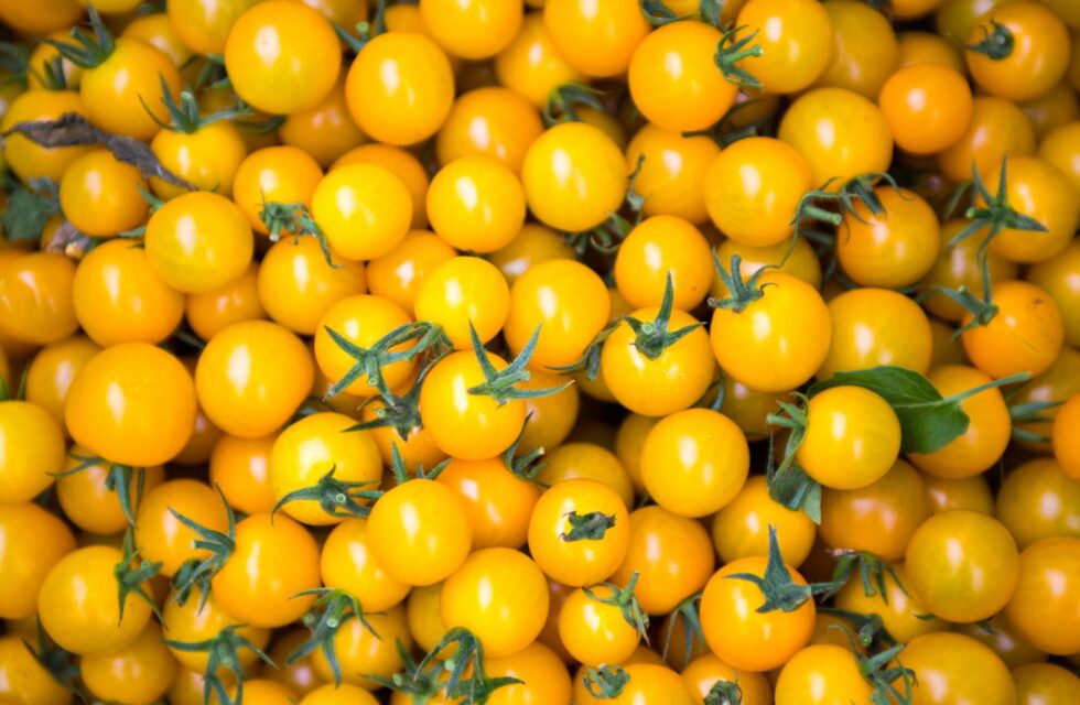 f61a0ae8be1e361b6e49073fd856b822