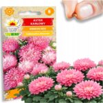 436c8283159203cf91155b1d3f96095d