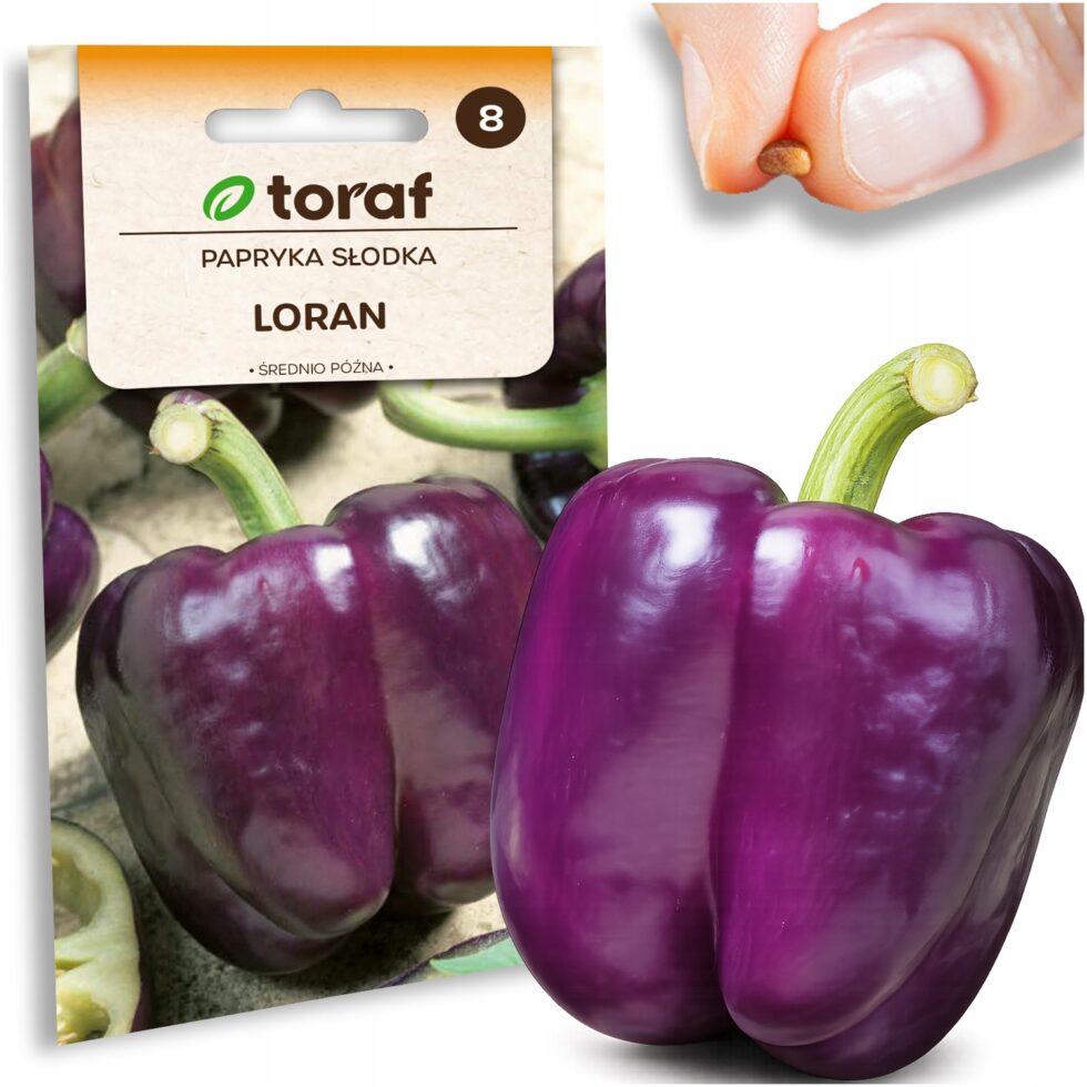 11db55d3dadbeb67491d822ae7122756