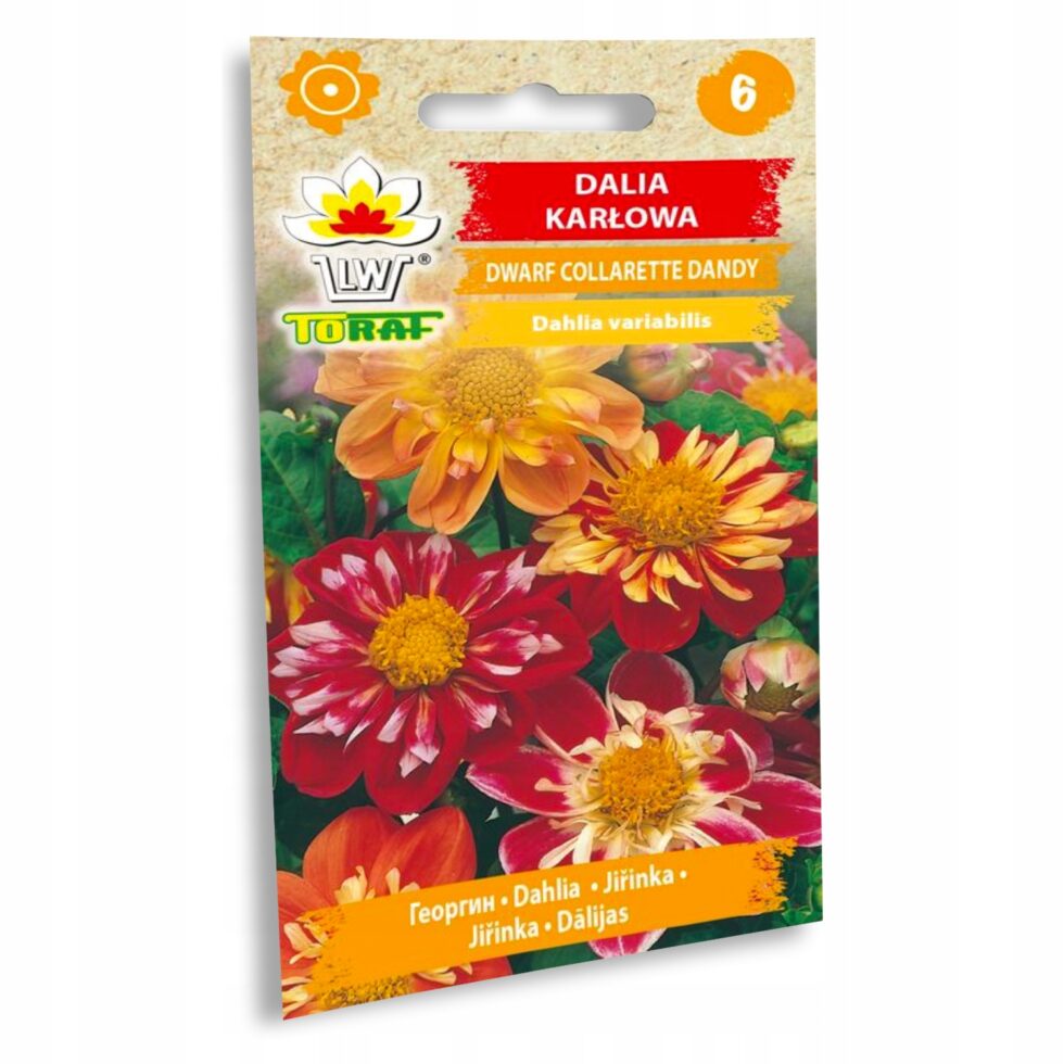 c2496587da4a460bef05c72c0477cf53