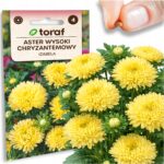 4d0553d80106483c632da104f110dd1b