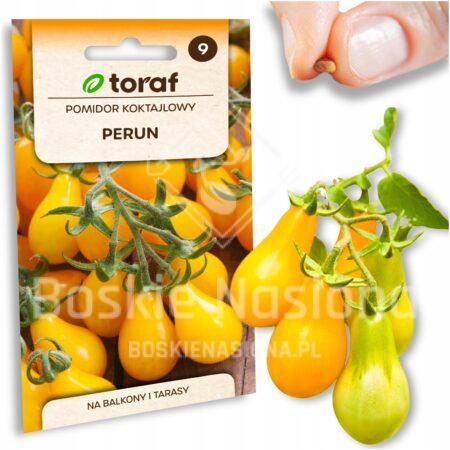 1b719ffb650dceb0a987d2e925f2e72d