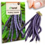 748eb2f591d920945a0612ae91d5c637