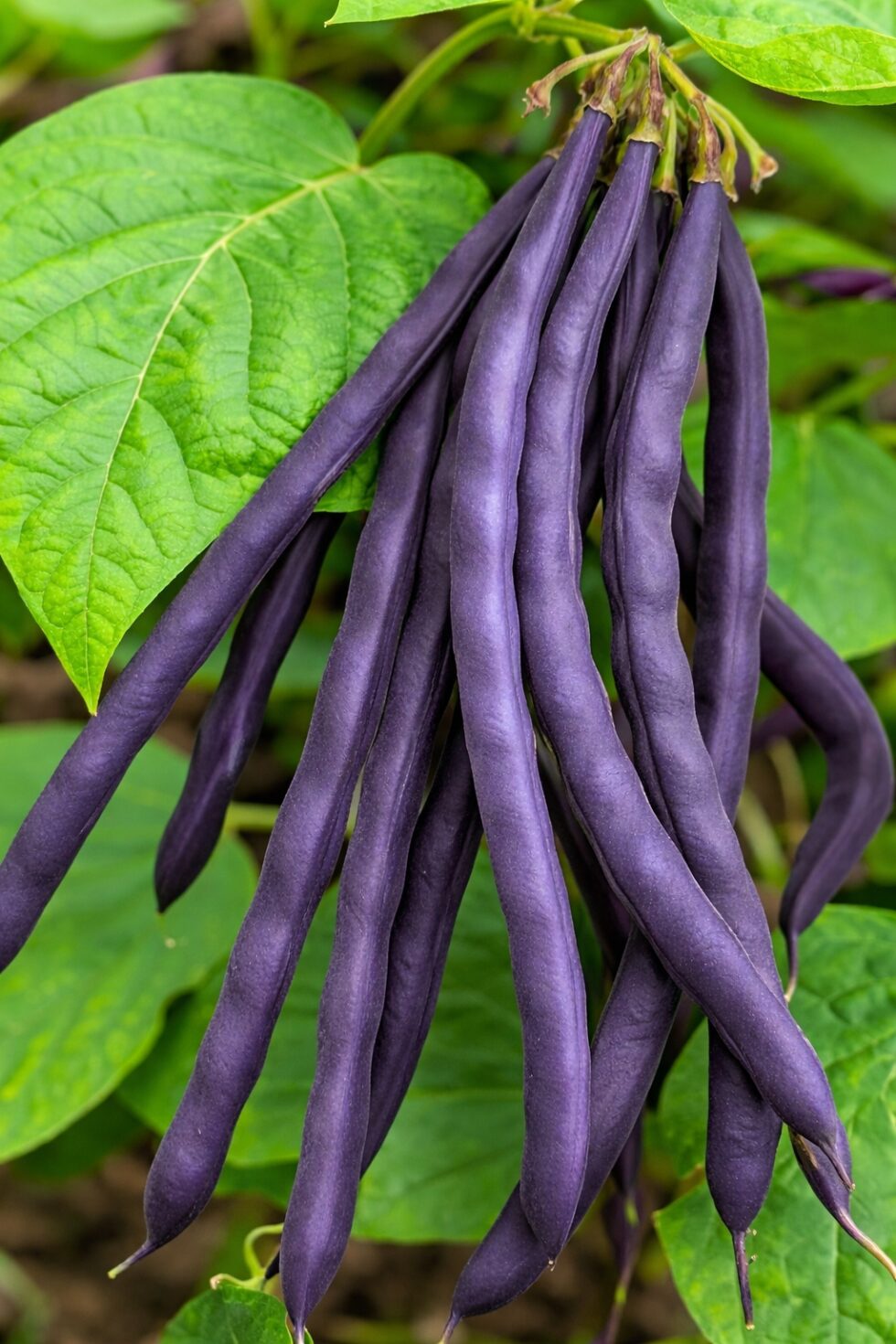 005ce45c6a1a59c95328ef3fa0ccb1a7