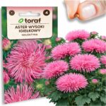 53d64041d24aa97358617b01319a942c