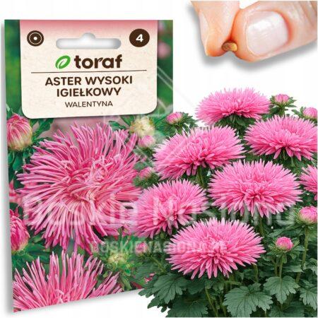 53d64041d24aa97358617b01319a942c