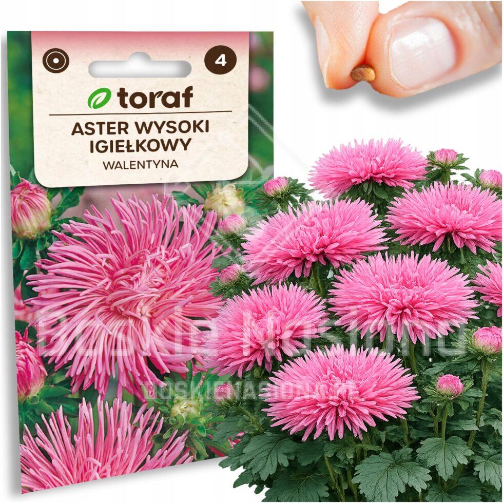 53d64041d24aa97358617b01319a942c