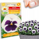 4d79f6c931f5358df9690c538aa3968a